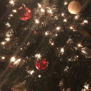 Meet your Posher, Dorothy